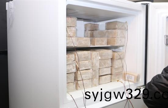 Refrigerator and freezer performance testing